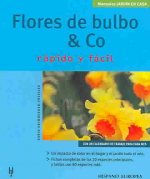 Flores de bulbo & co