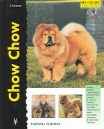 Chow chow
