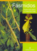 Fásmidos : insectos palo e insectos hoja