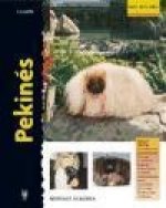 Pekinés