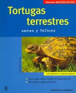 Tortugas terrestres : mascotas en casa