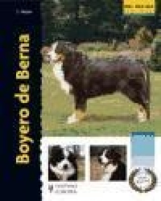 Boyero de Berna