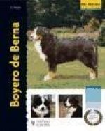 Boyero de Berna