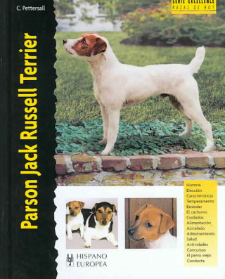 Parson Jack Russell terrier