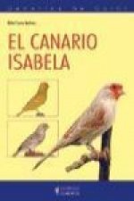 Canarios de color : el canario Isabela