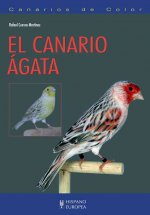 Canarios de color : el canario Ágata
