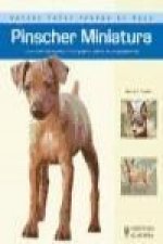 Pinscher miniatura