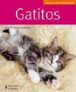 Gatitos : manuales mascotas en casa