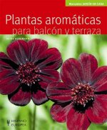 Plantas aromáticas para balcón y terraza