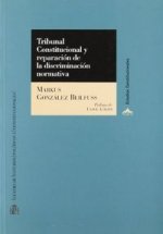 Tribunal constitucional y reparación de la discriminación normativa