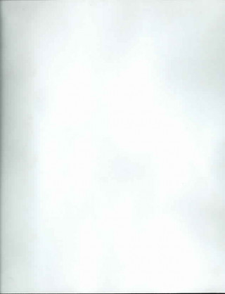 Pulguita