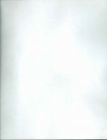 Pulguita