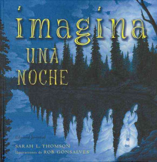 Imagina una noche