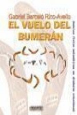 El vuelo del bumerán : modelos físico matemáticos en dinámica rotacional