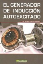 El Generador de Inducción Autoexcitado