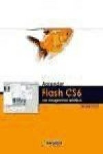 Aprender Flash CS6 con 100 ejercicios prácticos