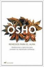 Remedios para el alma : meditaciones y ejercicios para combatir las inquietudes cotidianas