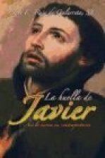 La huella de Javier : así lo vieron sus contemporáneos