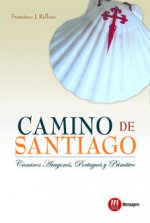 Camino de Santiago : caminos aragonés, portugués y primitivo