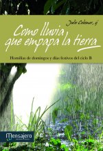 Como lluvia que empapa la tierra : homilías de domingos y días festivos del ciclo B