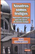 Nosotros somos testigos : itinerario espiritual para los laicos del nuestro tiempo