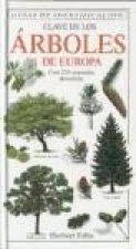 Clave de los árboles de Europa