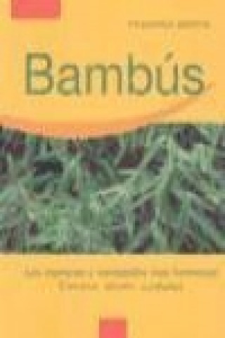 Bambús