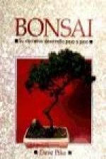 Bonsai : su correcto desarrollo paso a paso