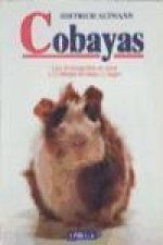 Cobayas