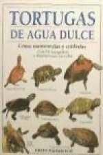 Tortugas de agua dulce : cómo mantenerlas y cuidarlas