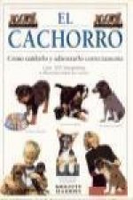 El cachorro : cómo cuidarlo y adiestrarlo perfectamente