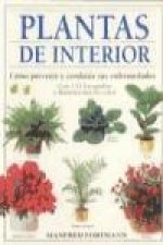 Plantas de interior : cómo prevenir y combatir sus enfermedades