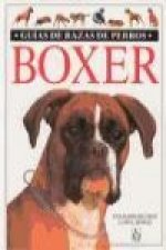 Boxer