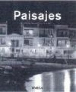 Paisajes, cómo desarrollar un estilo