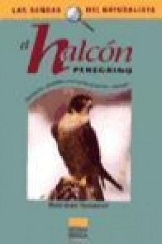 El halcón peregrino : descripción, costumbres, observación, protección, mitología--