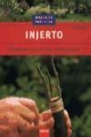 Injerto