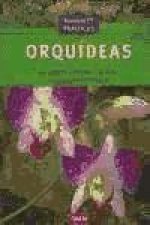 Orquídeas