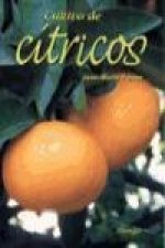 Cultivo de cítricos
