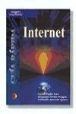 Guía rápida : Internet