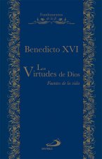 Las virtudes de Dios : fuentes de vida