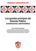 Los grandes principios del derecho público : constitucional y administrativo