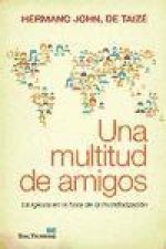 Una multitud de amigos : la Iglesia en la hora de la mundialización