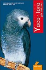 Yaco o loro africano