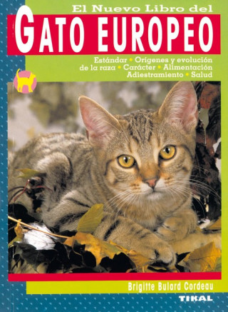 Gato europeo