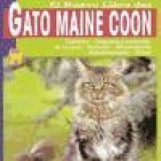 El nuevo libro del gato Maine Coon