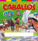 Caballos