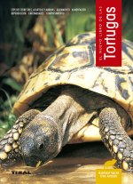 El nuevo libro de las tortugas