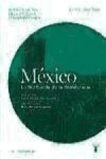 México : la búsqueda de la democracia, 1960-2000