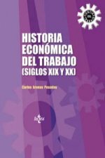 Historia económica del trabajo : siglos XIX y XX