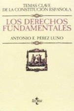 Los derechos fundamentales